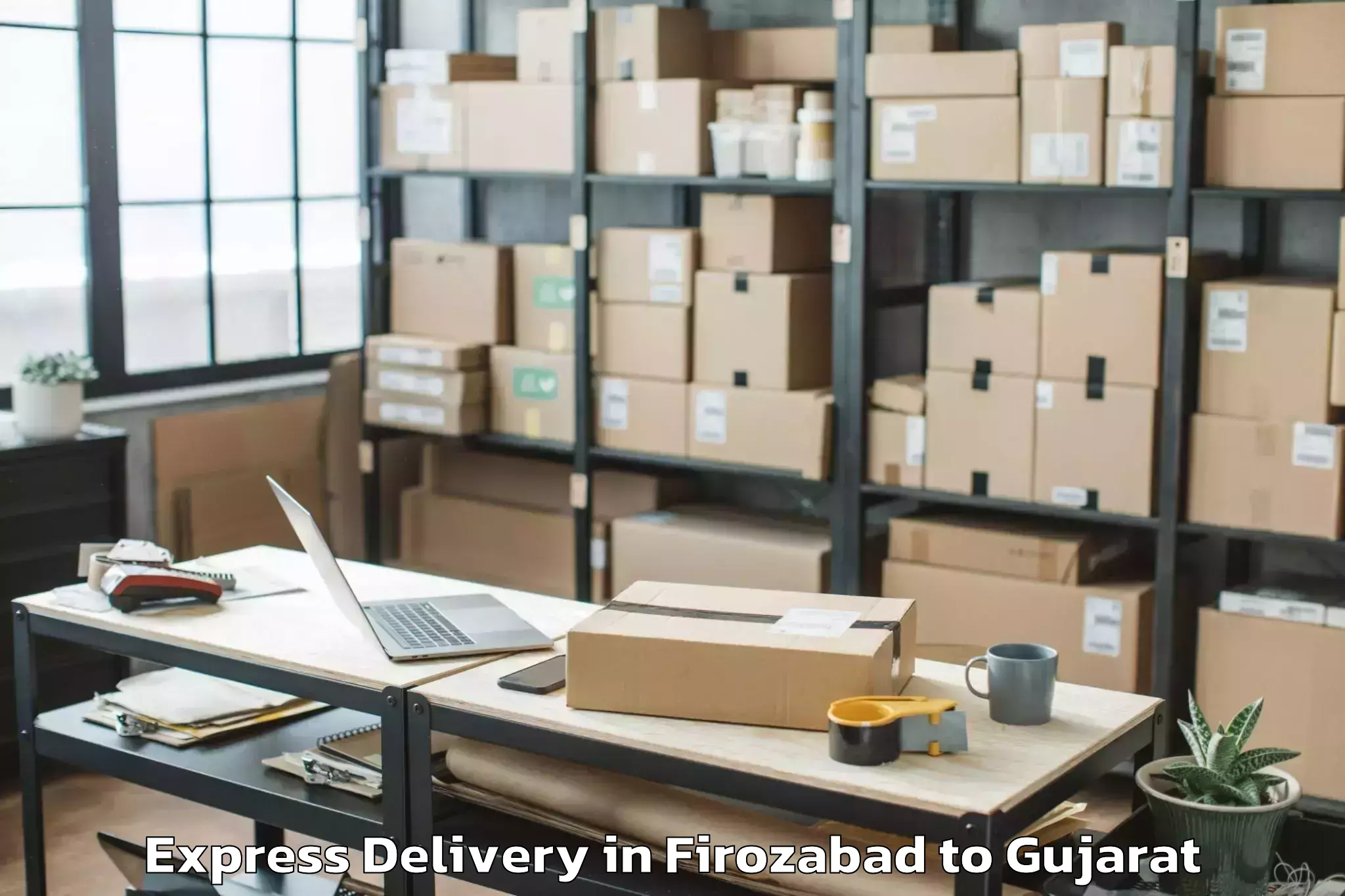 Expert Firozabad to Abdasa Express Delivery